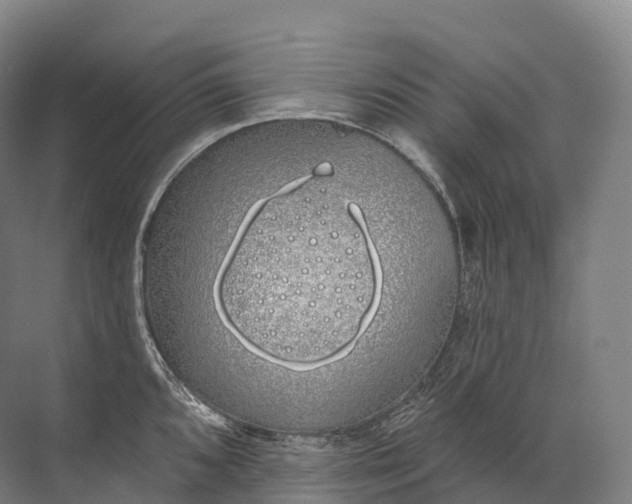 X0000072511096200607290126