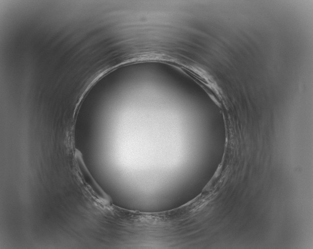 X0000072511097200607290126