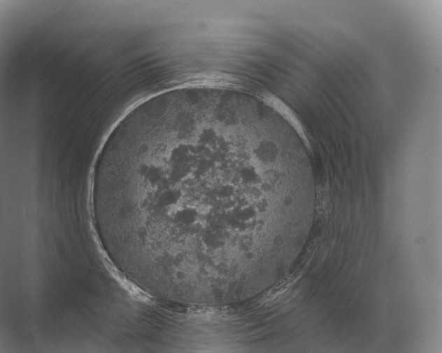 X0000072511099200607290126