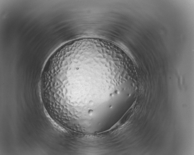 X0000072511100200607290126