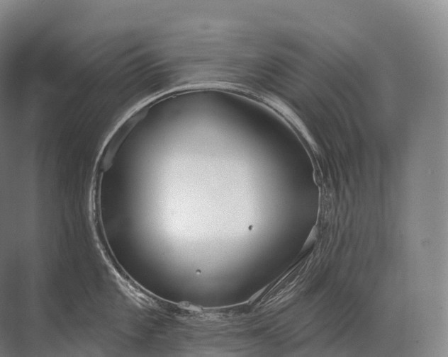 X0000072511101200607290126