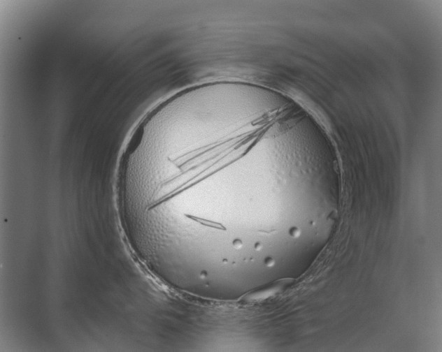 X0000072511104200607290126