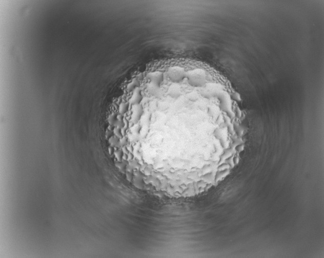 X0000072511105200607290125