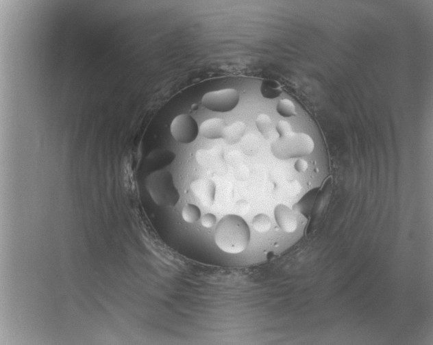 X0000072511106200607290125