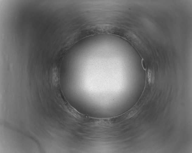 X0000072511107200607290125