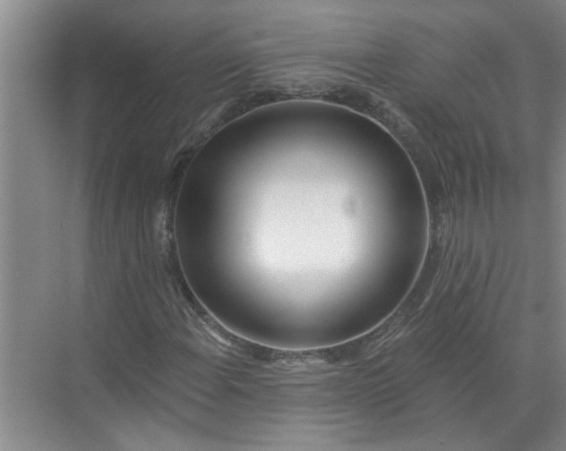 X0000072511108200607290125