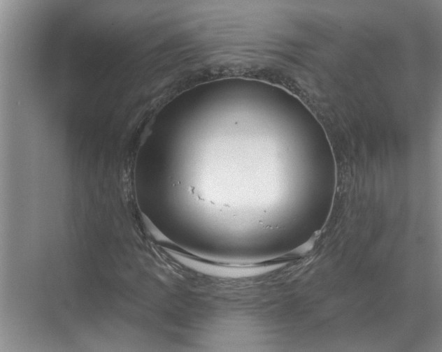 X0000072511109200607290125