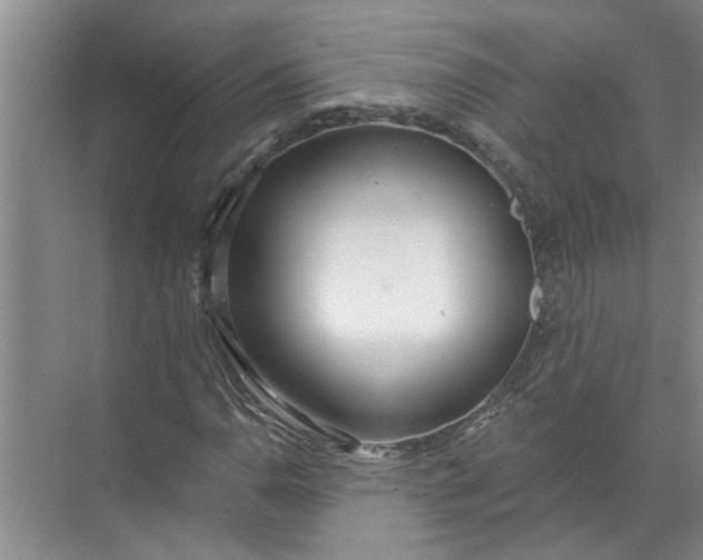 X0000072511110200607290125