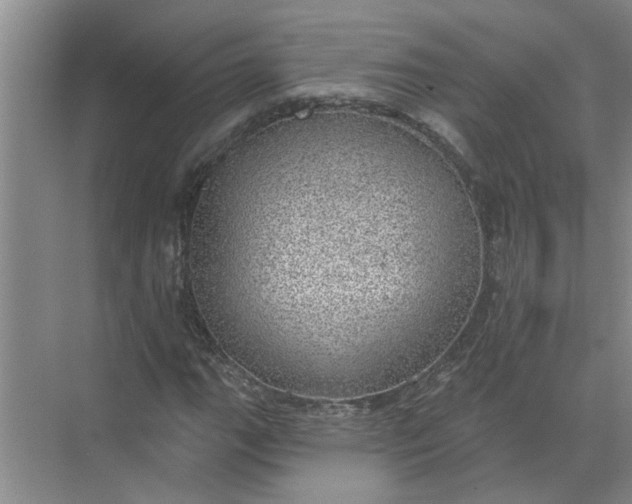 X0000072511111200607290125