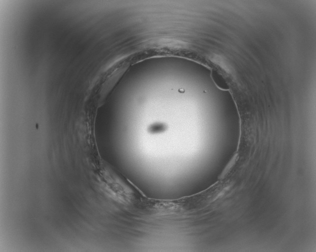 X0000072511112200607290125