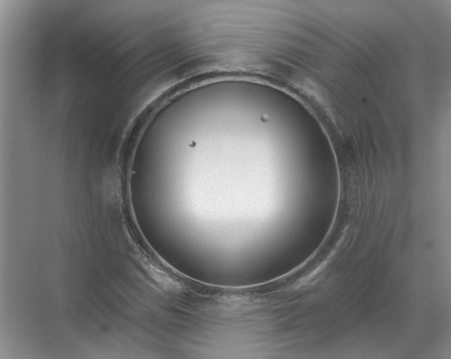 X0000072511114200607290125