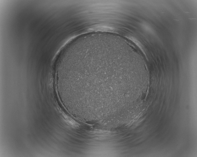 X0000072511115200607290125