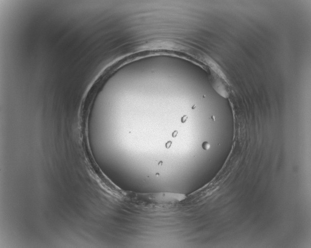 X0000072511116200607290125