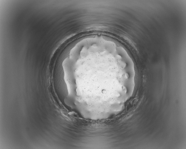 X0000072511117200607290125