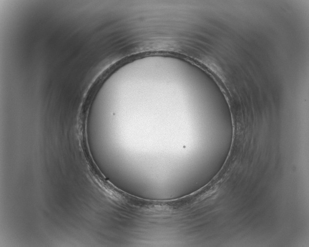 X0000072511119200607290125