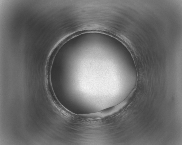 X0000072511120200607290125