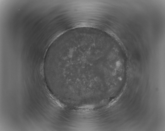 X0000072511121200607290125