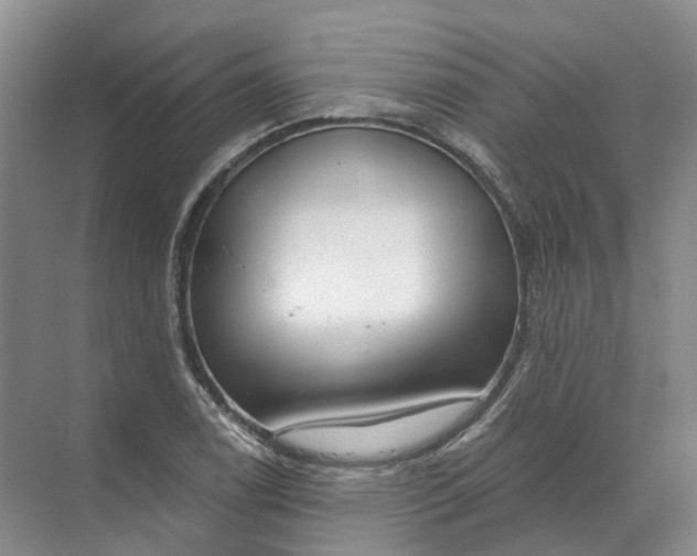 X0000072511122200607290125