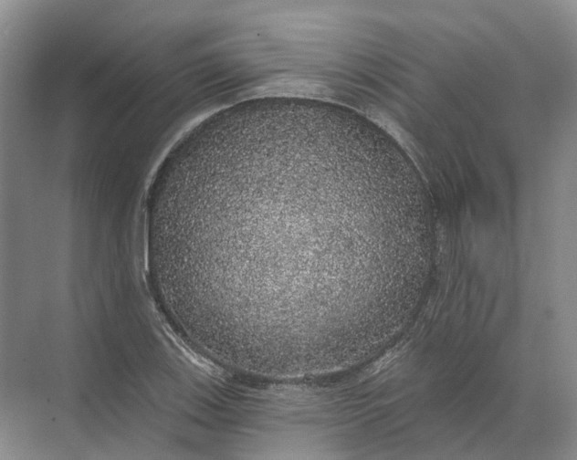 X0000072511123200607290125