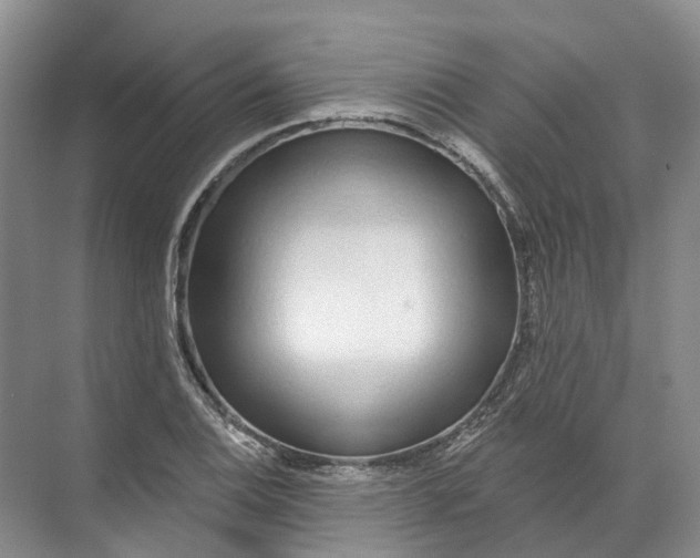 X0000072511124200607290125