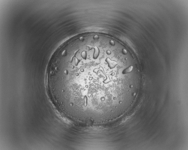 X0000072511125200607290125