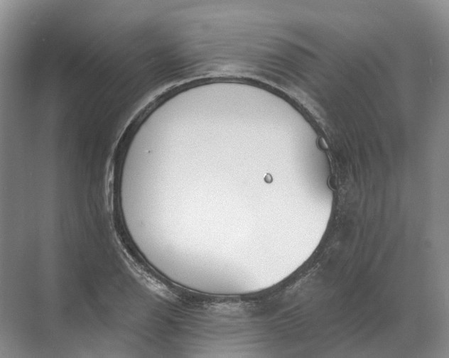 X0000072511126200607290125