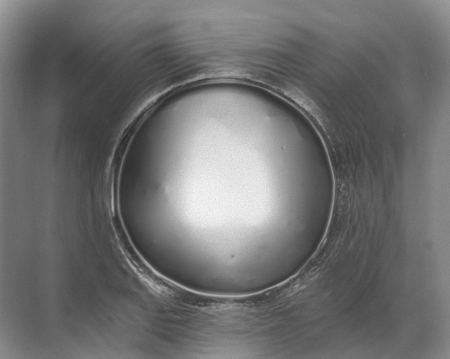 X0000072511127200607290125