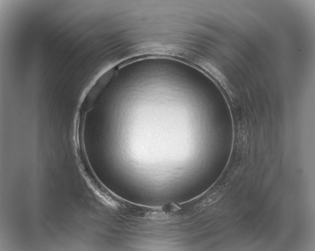 X0000072511128200607290125