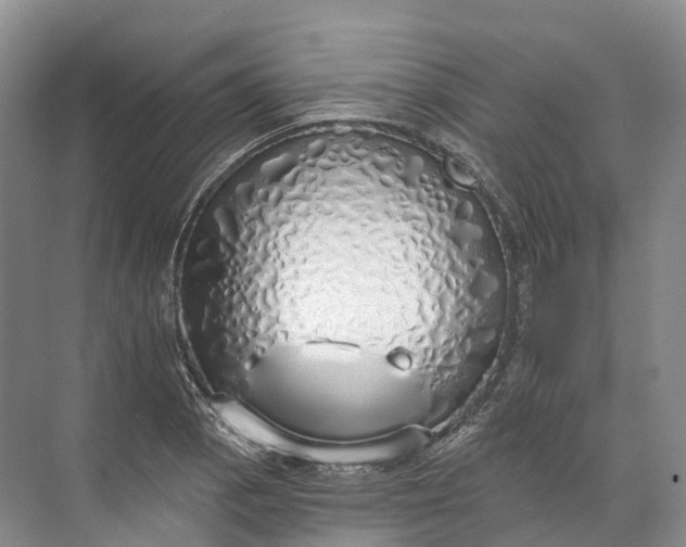 X0000072511129200607290125