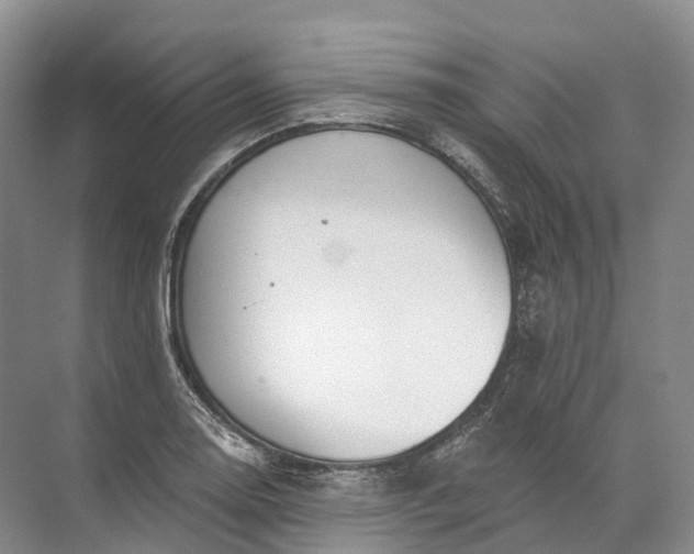 X0000072511130200607290125