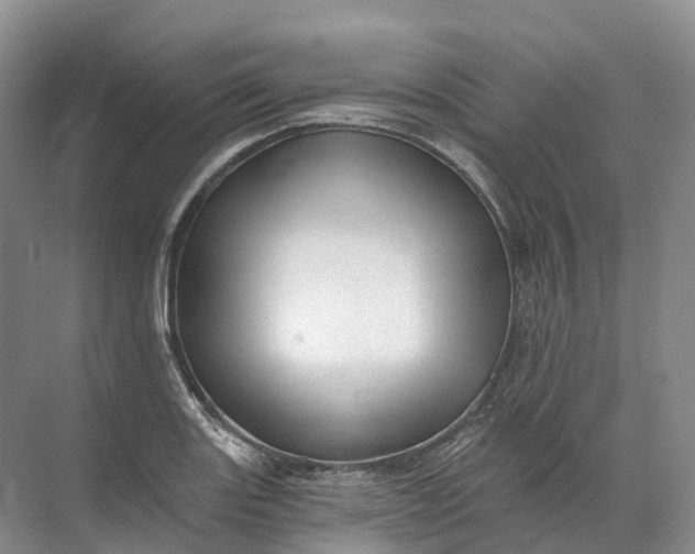 X0000072511131200607290125