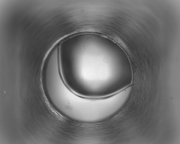 X0000072511132200607290125