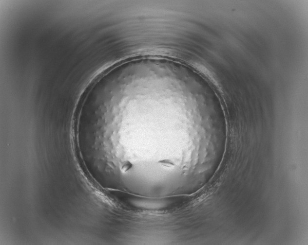 X0000072511133200607290125