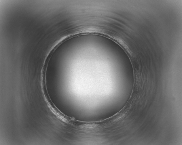 X0000072511134200607290125