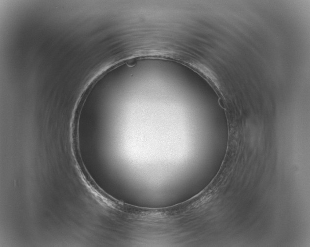 X0000072511135200607290125