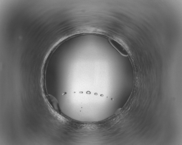 X0000072511136200607290125