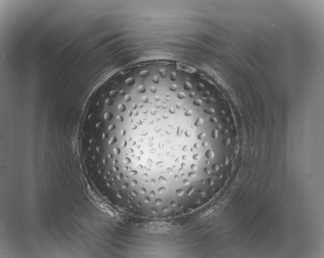 X0000072511137200607290125