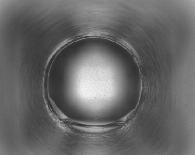 X0000072511138200607290125