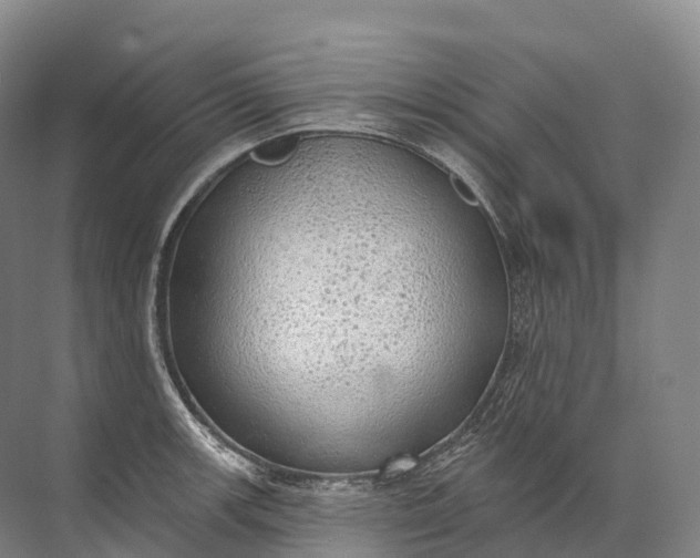 X0000072511139200607290125