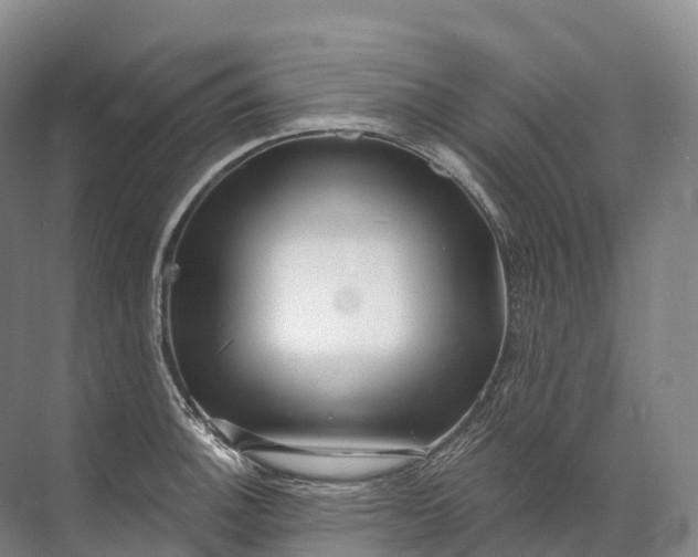 X0000072511140200607290125