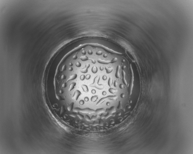 X0000072511141200607290125