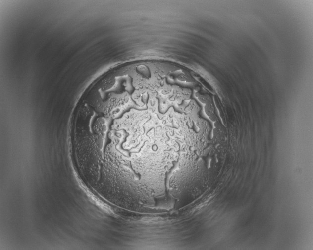 X0000072511142200607290126