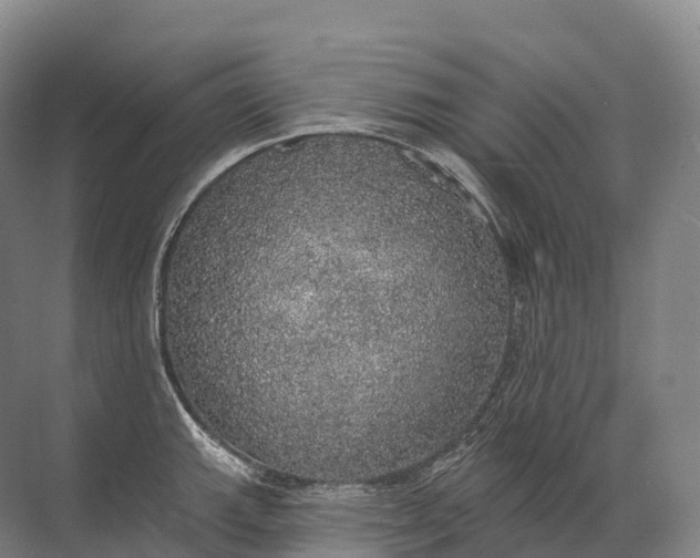 X0000072511143200607290126