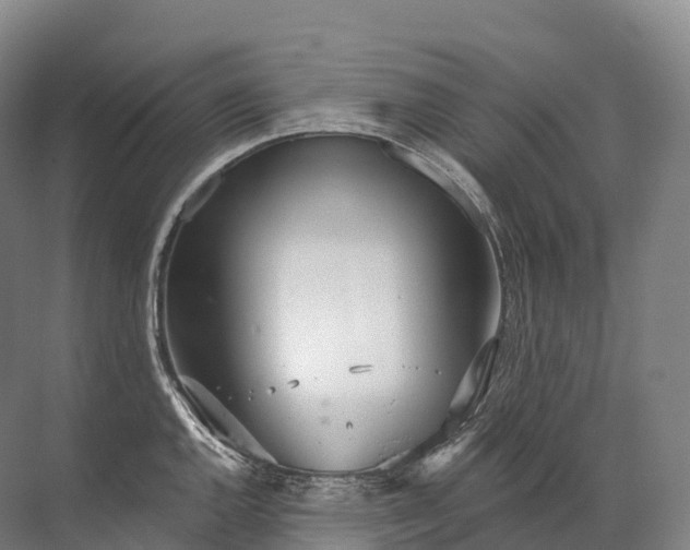 X0000072511144200607290126