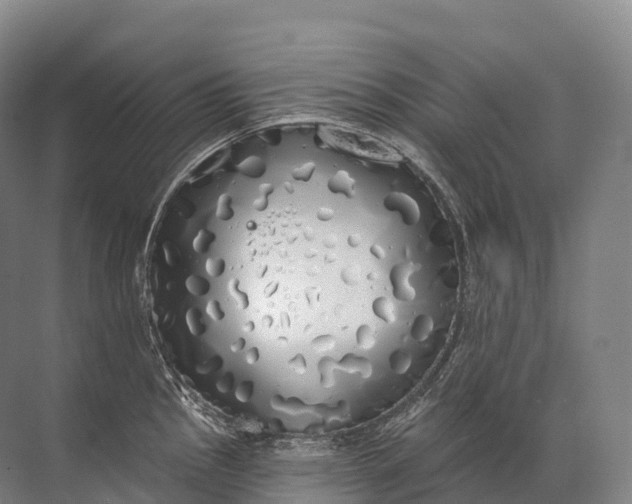 X0000072511145200607290126