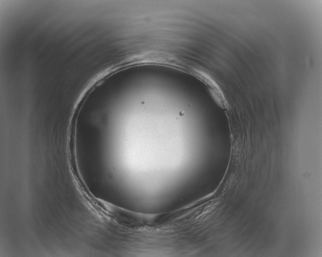 X0000072511146200607290126