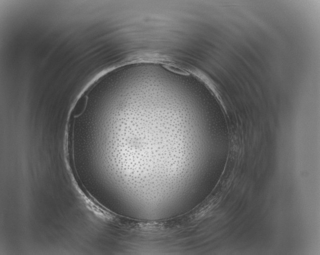 X0000072511147200607290126