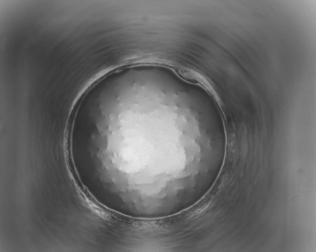 X0000072511149200607290126