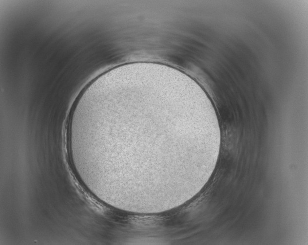 X0000072511150200607290126