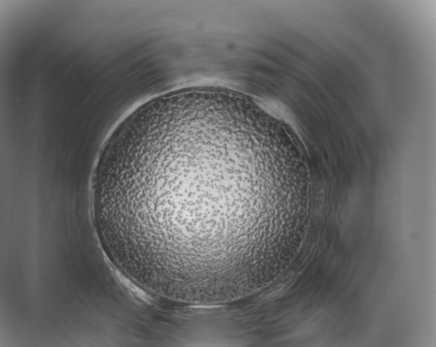 X0000072511151200607290126